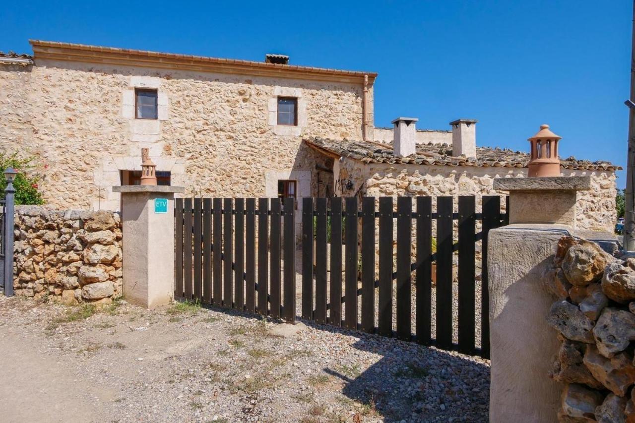 Fonoll Santa Margalida